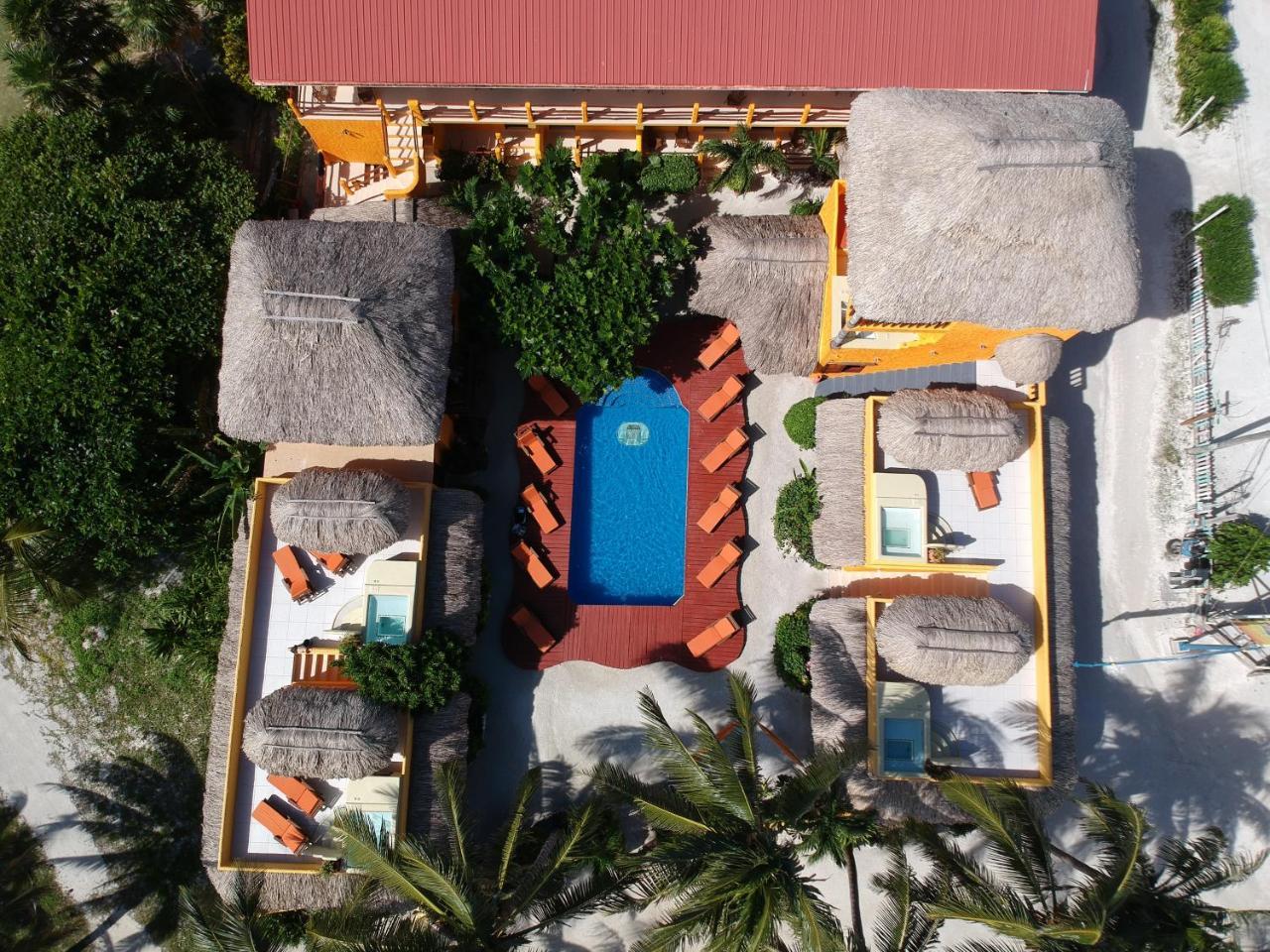 Seaside Cabanas Hotel Caye Corker Eksteriør billede